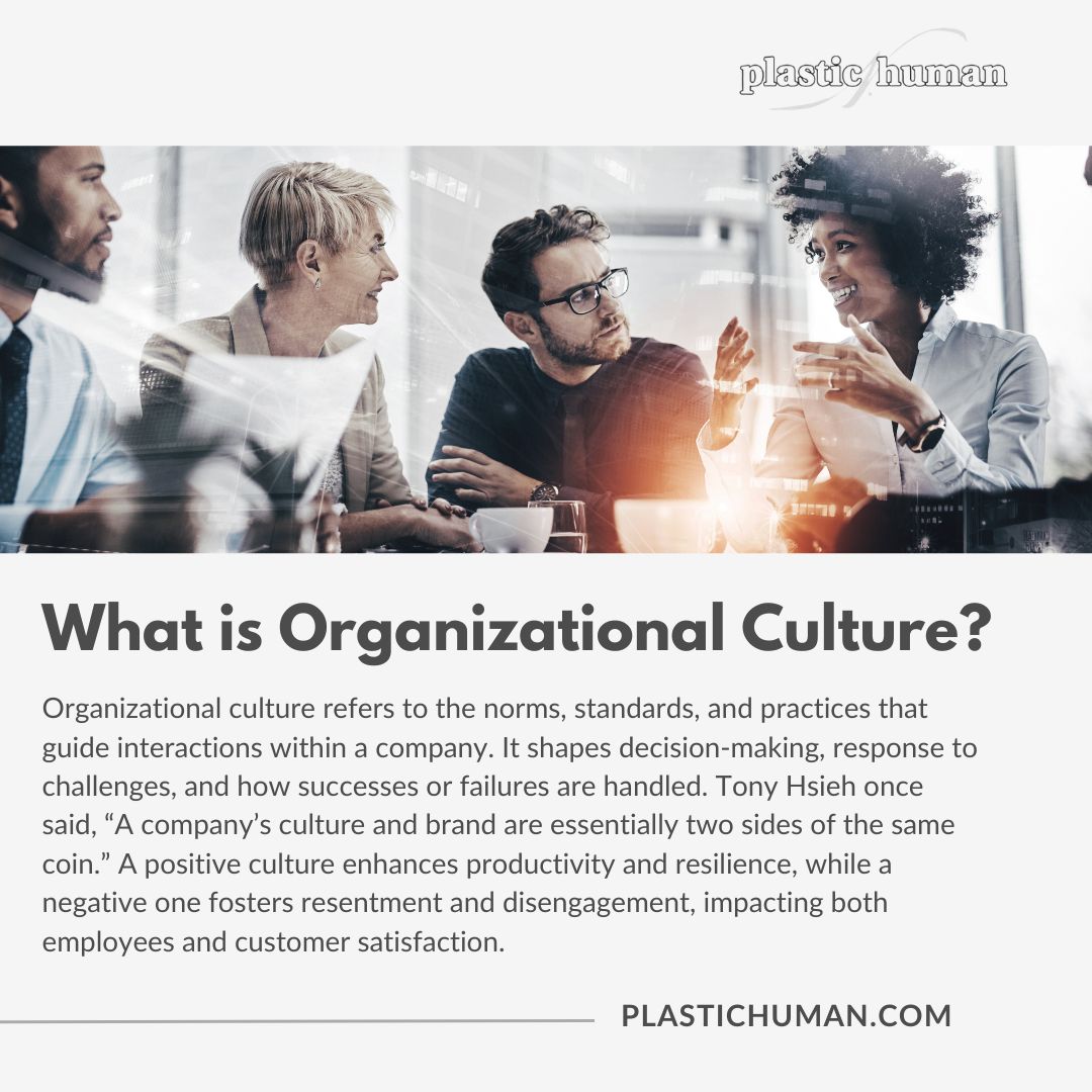 what is organizational culture