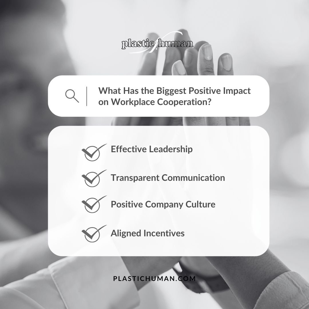 factors for positive workplace cooperation what has the biggest positive impact workplace cooperation